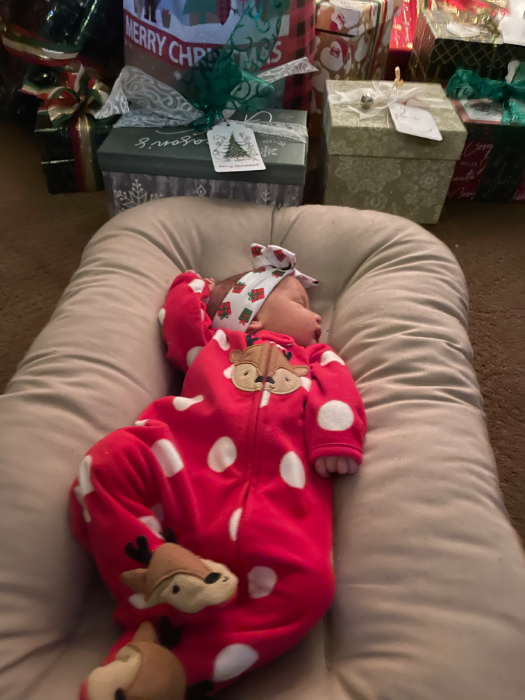 Snuggle Me Organic PTPA Parent Tested Parent Approved