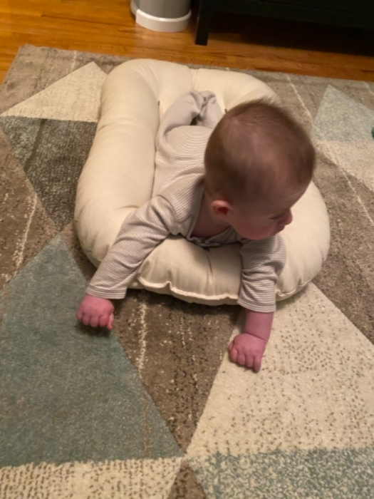 Snuggle Me Organic PTPA Parent Tested Parent Approved